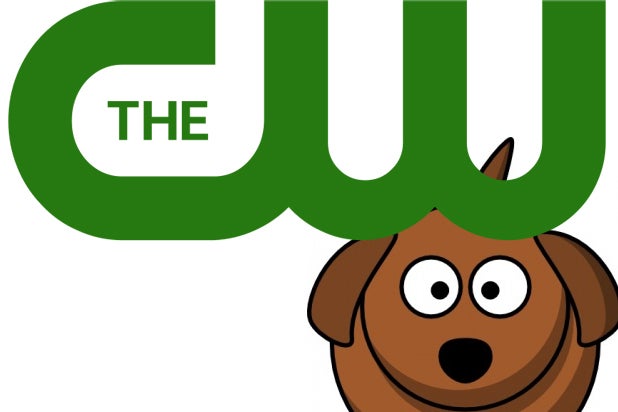 cw puppy cw to honor dogs with glitzy awards show cw puppy cw to honor dogs with glitzy awards show