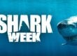 shark-week