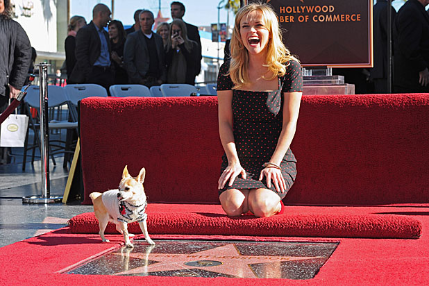 Legally Blonde Dog Name Legally Blonde Dog Name