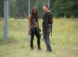 the walking dead danai gurira andrew lincoln