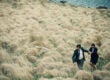 the-lobster-farrell-weisz.jpg