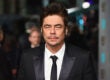 Benicio del Toro