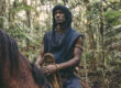 Roots