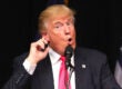 Donald Trump Tries to Steal Dems Thunder by Hosting AMA Session
