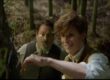 fantastic beasts and where to find them creatures