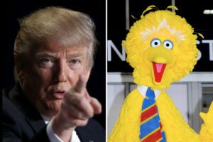 trump budget arts public broadcasting big bird