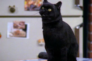 Salem