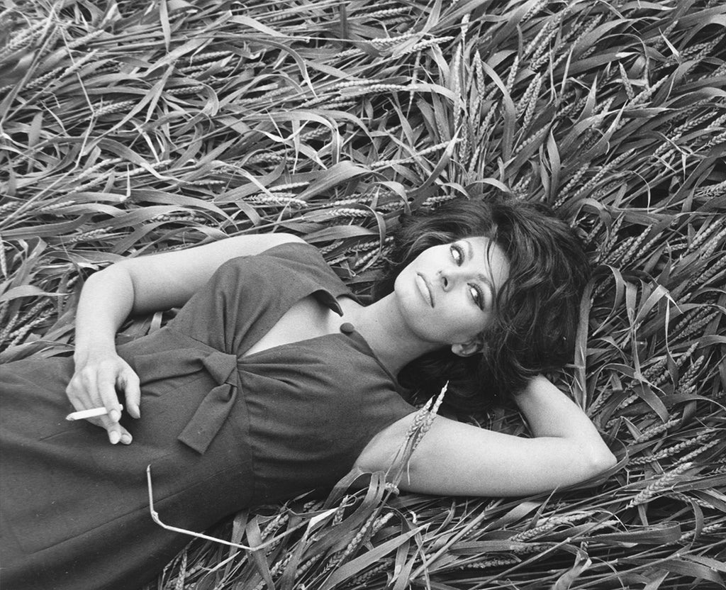 Sophia Loren