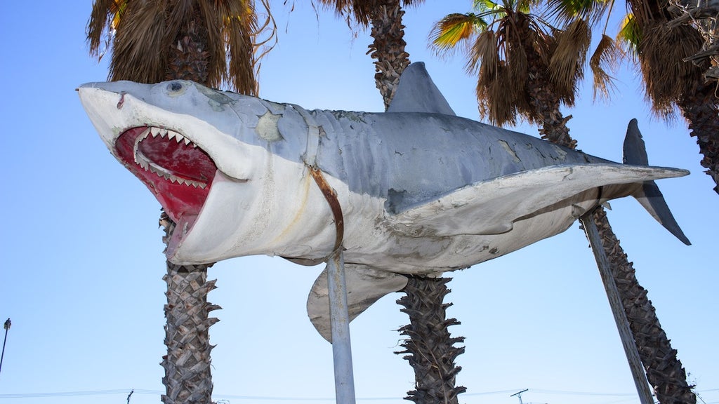 academy museum jaws