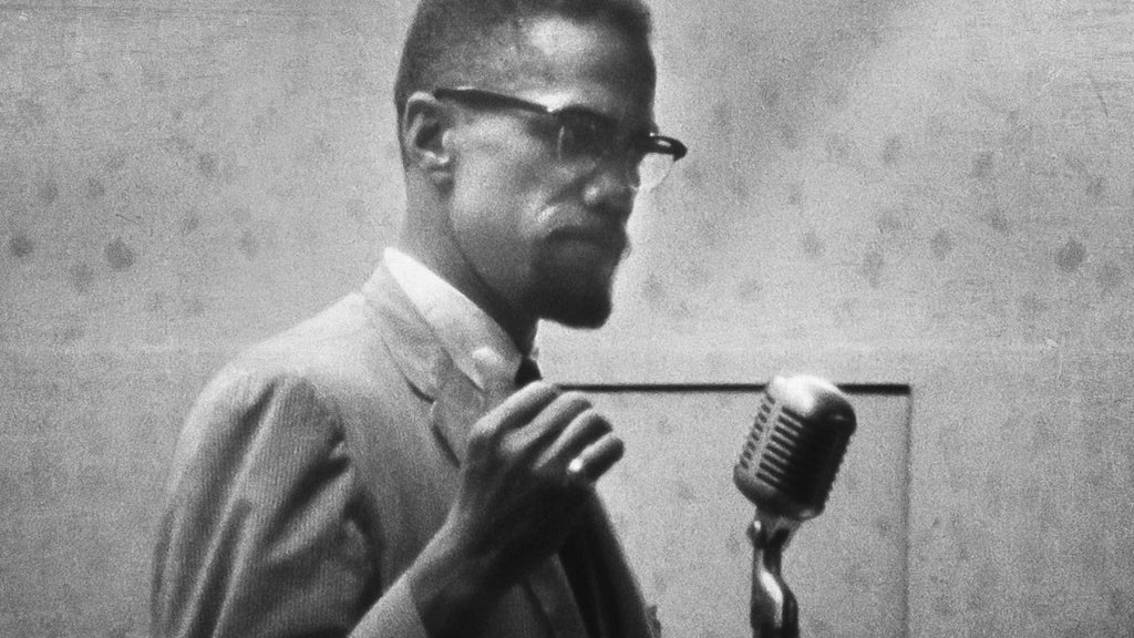 who-killed-malcolm-x-netflix