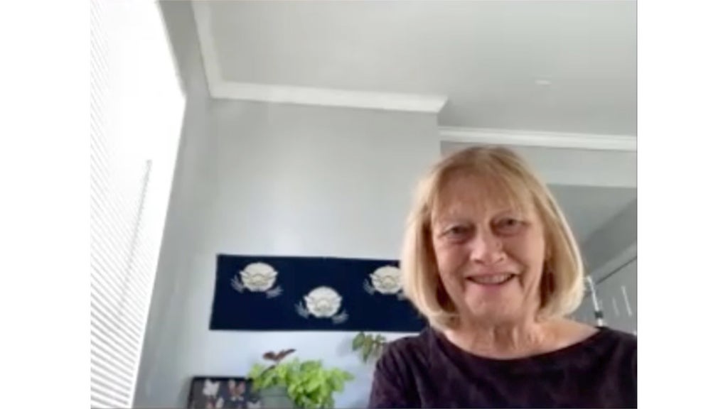 Diane Stevens The Janes
