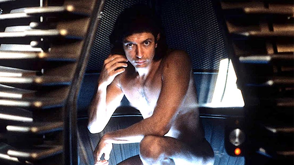 The Fly