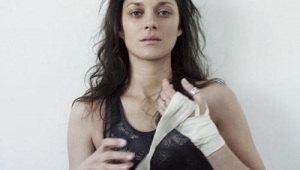 Marion Cotillard
