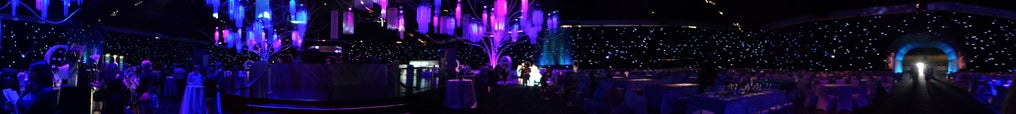 Gov Ball Panorama