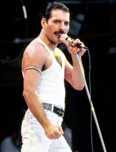 freddie_main_1600152a