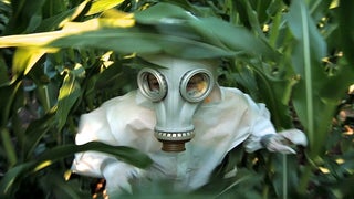 What Filmmaker Jeremy Seifert Told Me About the Politics of Health (Guest Blog)