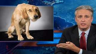 Jon Stewart to GOP: Own Government Shutdown, Don’t Fart and Blame the Dog (Video)