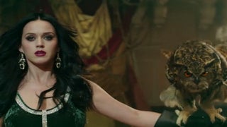 Katy Perry Gets Hit by a Car, Trains an Owl in ‘Unconditionally’ Music Video