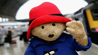 Weinstein Sets Live Action Comedy ‘Paddington’ for Christmas 2014