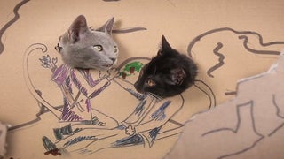 Jennifer Lawrence Has 9 Lives as ‘The Hunger Games’ Gets Re-Cast With Cats (Video)