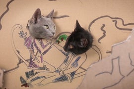 Jennifer Lawrence Has 9 Lives as ‘The Hunger Games’ Gets Re-Cast With Cats (Video)