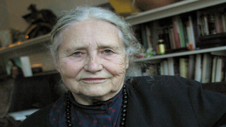 Doris Lessing, Nobel Prize Winning Author, Dead at 94