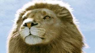 ‘Narnia’ Sequel Taps David Magee to Write Script