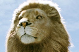 ‘Narnia’ Sequel Taps David Magee to Write Script