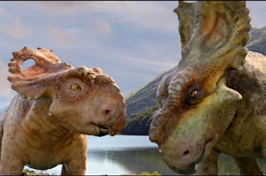 WWD-047 - Patchi, left, with his older brother Scowler.