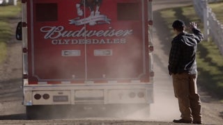 Super Bowl Commercials Are Mostly Ineffective, Study Finds