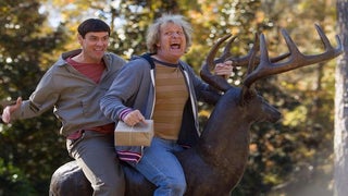 ‘Dumb and Dumber To’ Review: Jim Carrey and Jeff Daniels Return to Fine Form in Hilarious Sequel