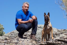 Pet Owner Comes to Cesar Millan’s Defense in Dog-Bites-Pig Incident