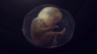 Steven Spielberg’s ‘Extant’ Starring Halle Berry: First Teaser Offers Definition, Fetus (Video)