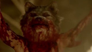 WGN’s ‘Salem’ Renewed for Season 2