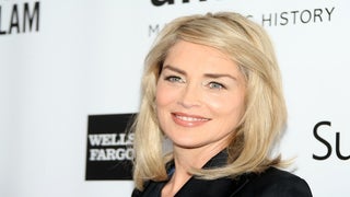 Sharon Stone to Play Veep on TNT Drama Pilot ‘Agent X’