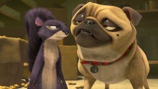 ‘The Nut Job’ Review: Will Arnett and Maya Rudolph Can’t Save This Cluster Bomb of a Kid Flick