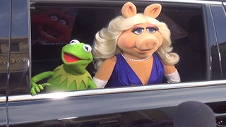 ‘Muppets Most Wanted’ Director James Bobin, Danny Trejo and Premiere Guests Pick Their Favorite Muppet (Video)