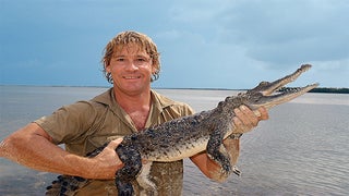 ‘Crocodile Hunter’ Steve Irwin’s Best Friend Details His Tragic Death, Final Words (Video)