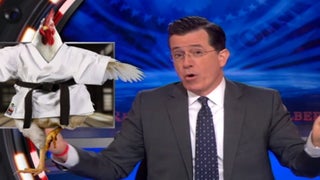 Stephen Colbert Is a Cockfighting ‘Cockthusiast’ (Video)