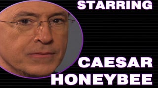 Stephen Colbert Gets to Know San Fernando District, and Its Porn (Video)
