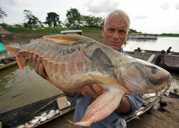 Animal Planet Sets ‘Monster Week’ Slate, Which Boasts Lots of ‘River Monsters’ (Exclusive)