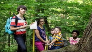 Cinedigm Acquires North American Distribution Rights to Family Film ‘The Stream’