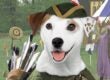 Wishbone