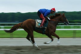 Tonalist Wins Belmont Stakes, Denying California Chrome a Triple Crown