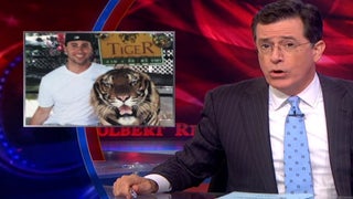 Stephen Colbert Mauls New York’s Selfies-With-Tigers Ban (Video)