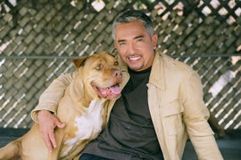 Nat Geo Wild Will Not Punish Cesar Millan, Network Says (Exclusive)