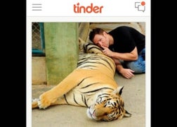 NY Legislature Bans Selfies With Tigers