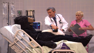 Conan’s Masturbating Bear Rescued From Certain Death By Stephen Colbert’s Masturbating Bear (Video)
