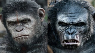 ‘Apes’ Divided: 8 Famous Movie Primates Pick Sides (Photos)