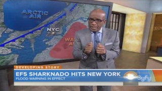 Matt Lauer and Al Roker Are Super Serious in ‘Sharknado 2’ Cameo (Video)